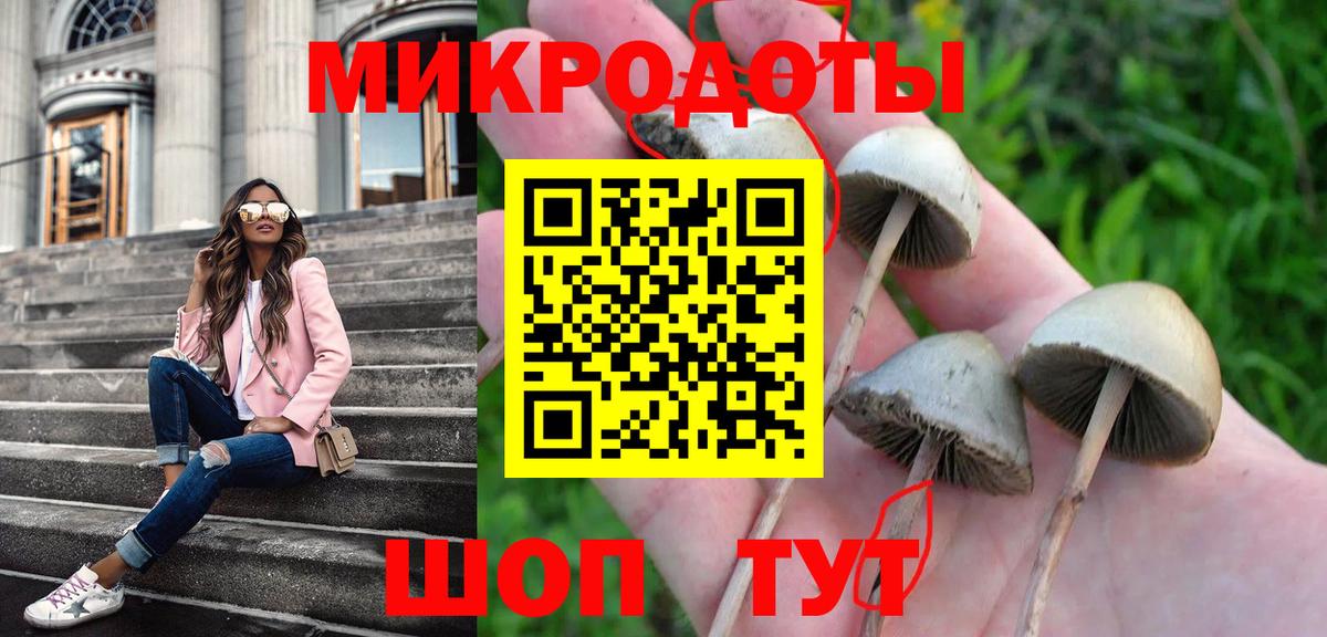 Псилоцибиновые грибы Magic Shrooms  Вход с VPN  Азнакаево 