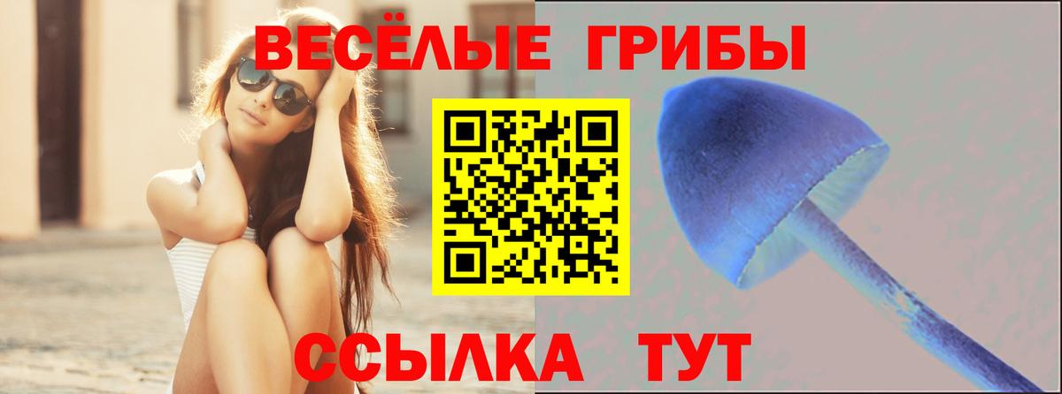 Галлюциногенные грибы мухоморы Азнакаево
